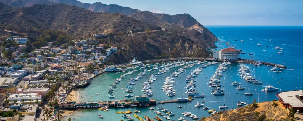 Catalina Island Bay on Summer