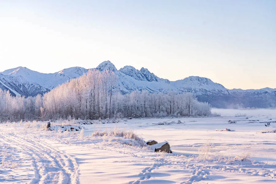 Winter Alaska Tourism